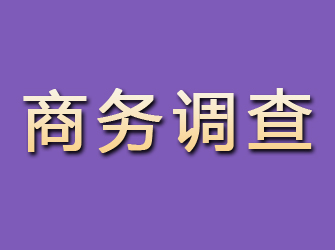 玛沁商务调查